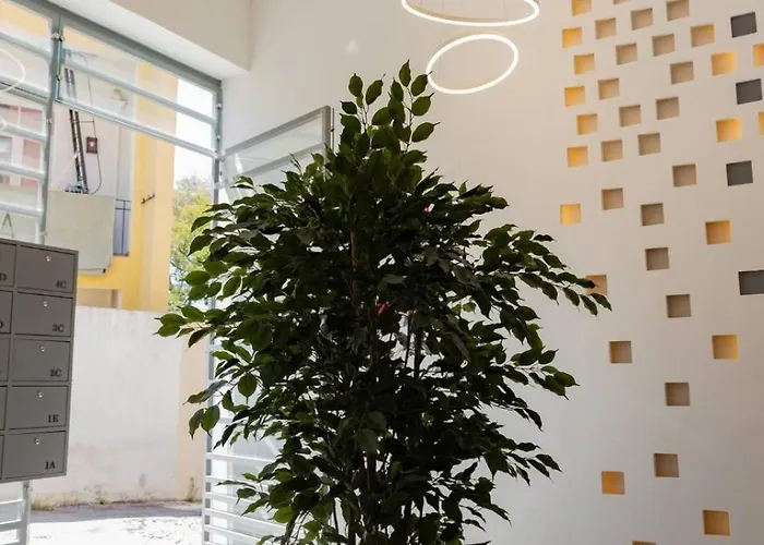 Prime Modern And Lissabon