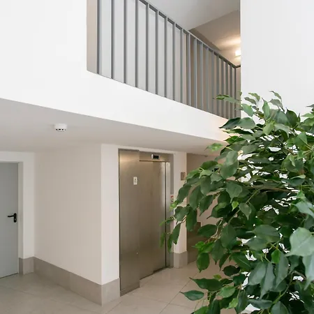 Prime Modern And Apartment